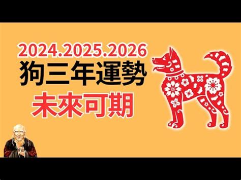 1982屬狗|生肖狗: 性格，愛情，2024運勢，生肖1994，2006，2018